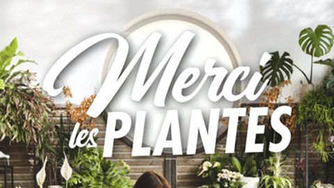 Comme chaque automne, l’Office hollandais des fleurs va lancer une campagne le 4 octobre prochain, intitulée « Merci les plantes ». ©Office hollandais des fleurs 